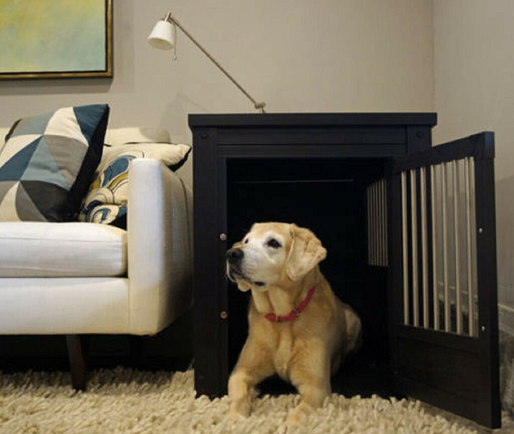 Decorative Dog Crates: Training Your Puppy In Style! 