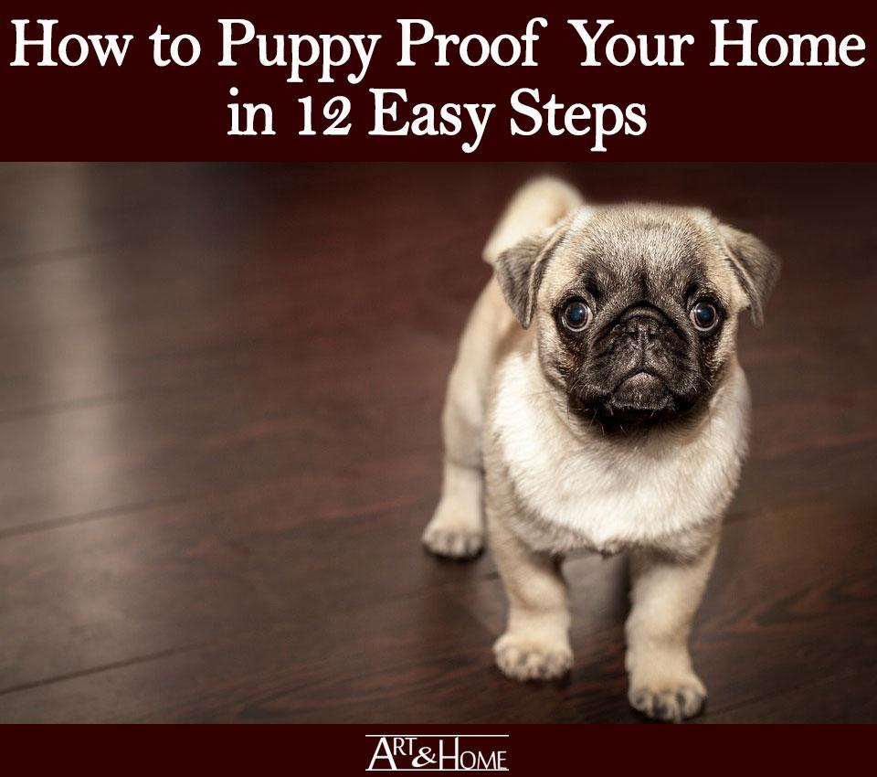 How to Puppy Proof Your House – 10 Simple Steps! - My Dog's Name