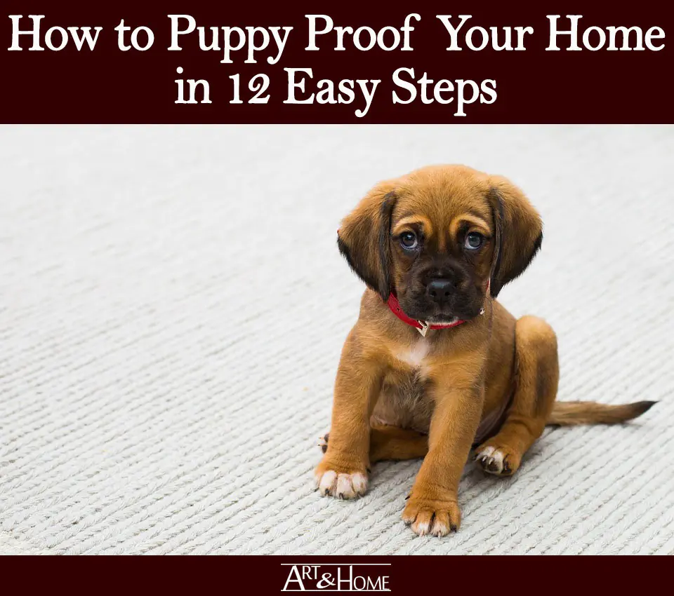 How To Puppy Proof Your House (10 Things That Actually Work)