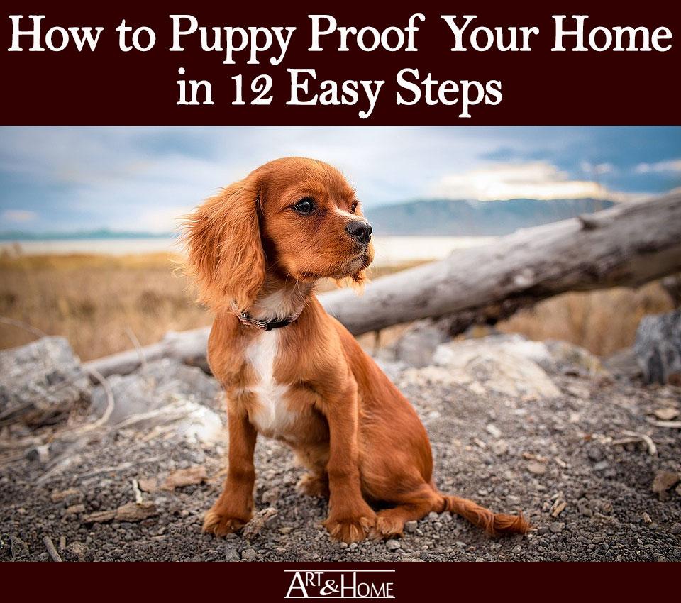 How to Puppy Proof Your House – 10 Simple Steps! - My Dog's Name