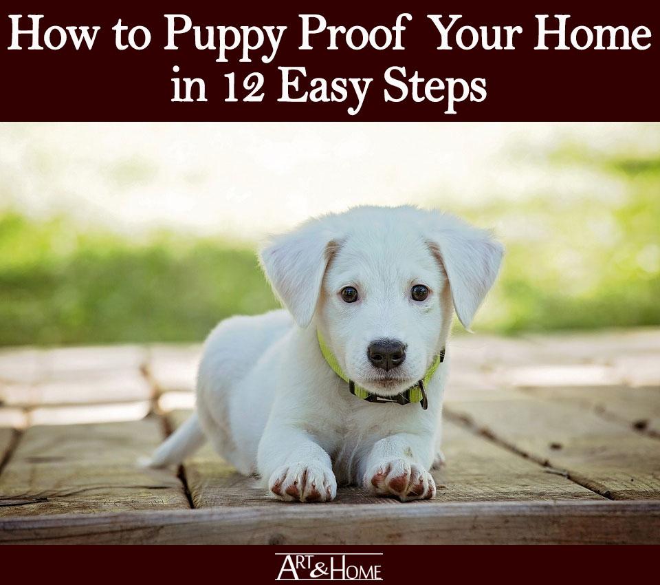 Puppy Proofing Your Apartment in 13 Simple Steps