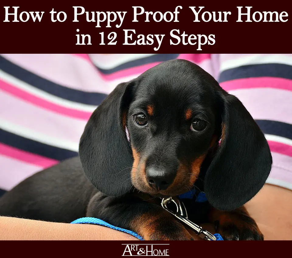 How to Puppy Proof Your House – 10 Simple Steps! - My Dog's Name