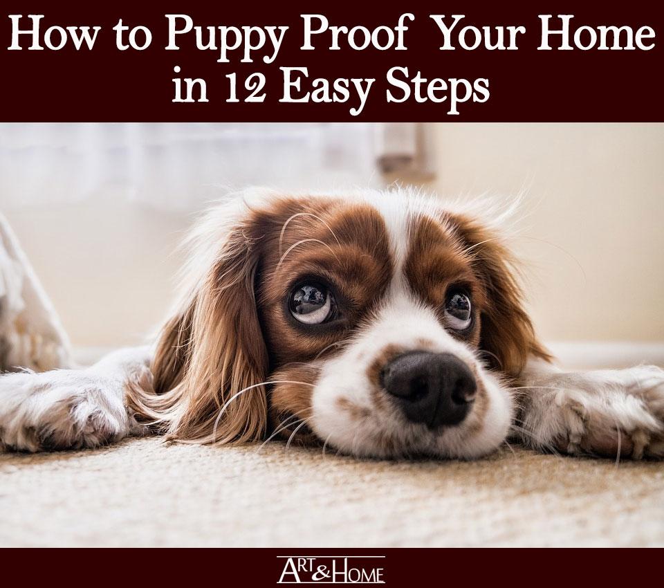 How to Puppy Proof Your House – 10 Simple Steps! - My Dog's Name