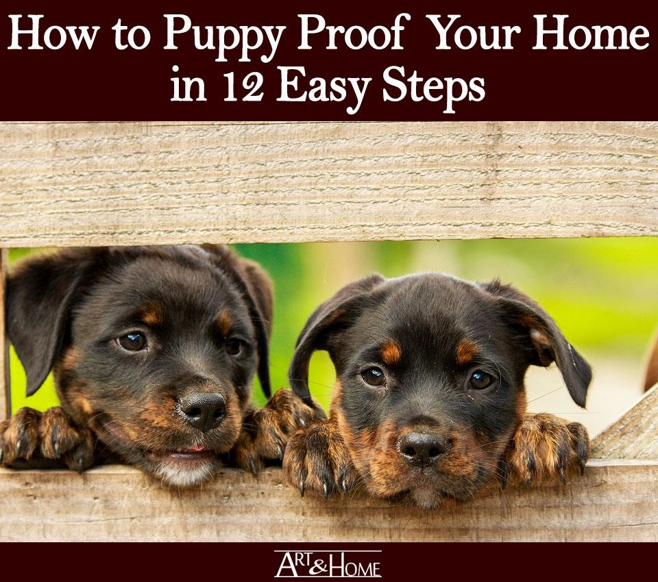 How to Puppy Proof Your House – 10 Simple Steps! - My Dog's Name