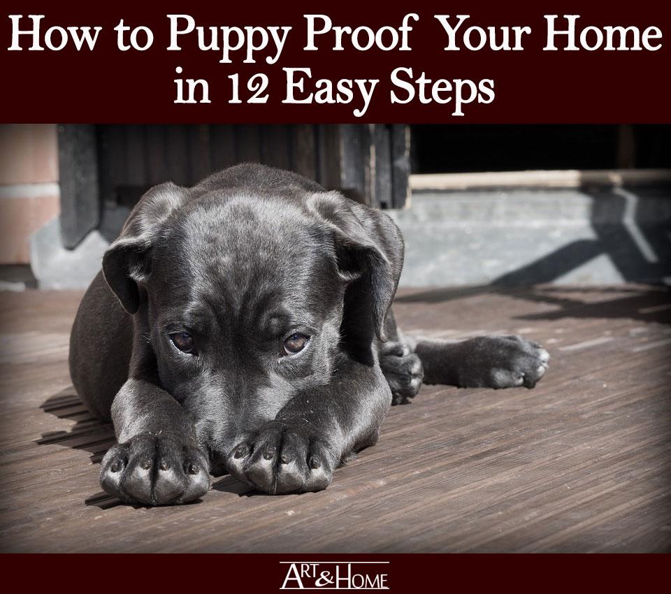 How to Puppy Proof Your House – 10 Simple Steps! - My Dog's Name
