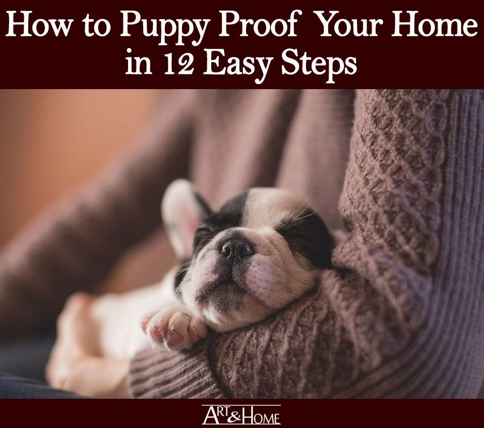 How to Puppy Proof Your House – 10 Simple Steps! - My Dog's Name