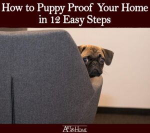 How to Puppy Proof Your House – 10 Simple Steps! - My Dog's Name