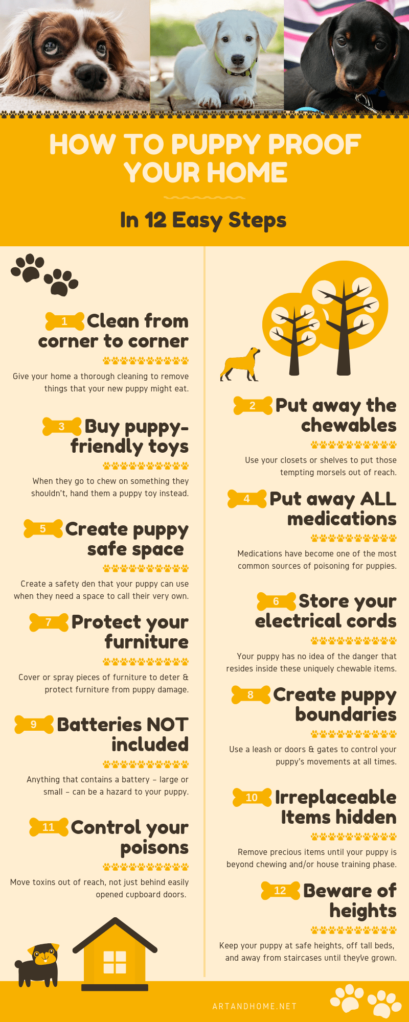 How to Puppy Proof Your Home in 12 Easy Steps