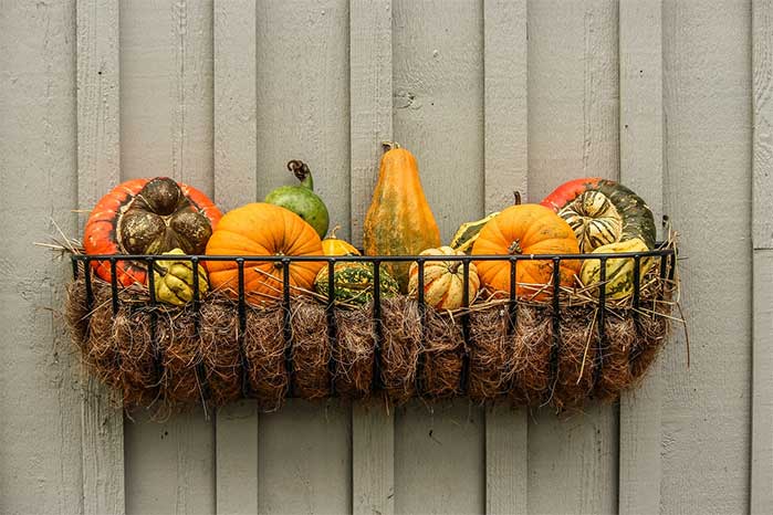 Harvest Blessings, Chalkboard Art, Chalk Art, Fall Decor, Fall Leaves,  Pumpkin Art, Autumn Decor, Chalk Lettering, Fall Basket, Calligraphy