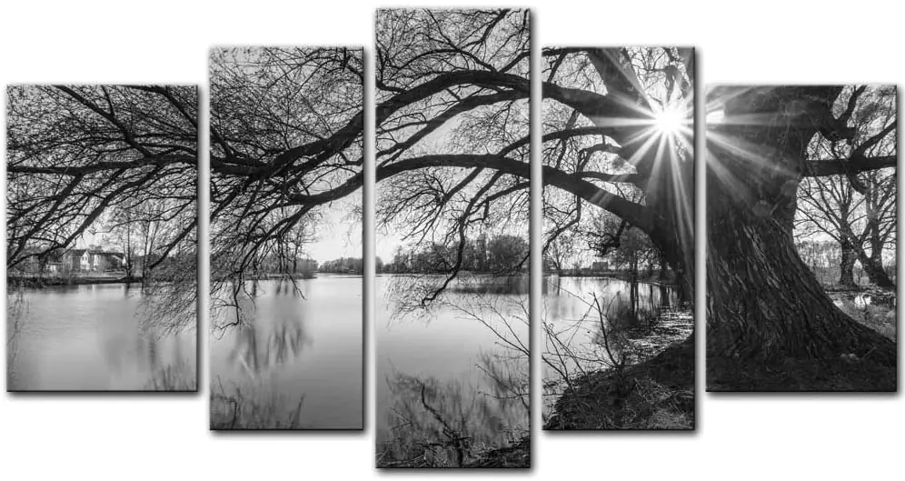 Black and White Tree 5 Pieces Modern Art Set