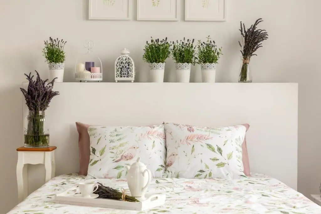 Air Purifying Lavender Plants in a Bedroom