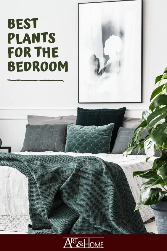 Best Air Purifying Plants for the Bedroom. #HomeDecor #HomeDIY #Plants #Houseplants #BedroomPlants #EasyPlants #BedroomDecor