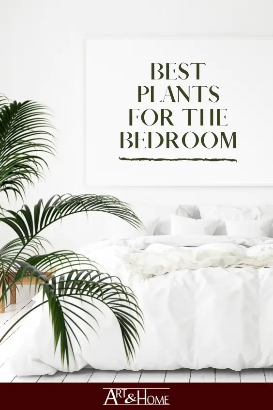 Best Plants for the Bedroom. #HomeDecor #HomeDIY #Plants #Houseplants #BedroomPlants #EasyPlants #BedroomDecor