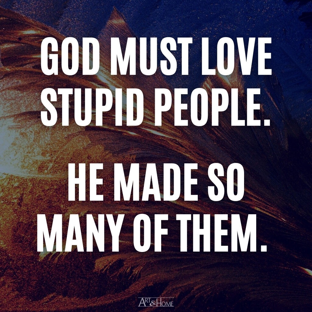 Quotes About Stupidity and Stupid People | Art & Home