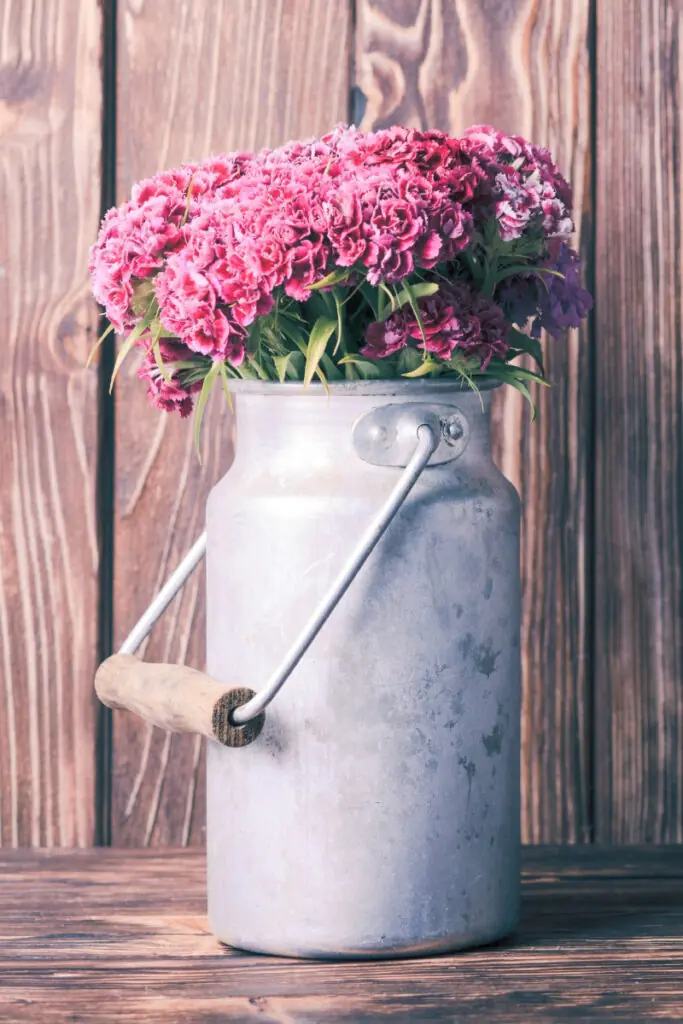 Milk Can Vase