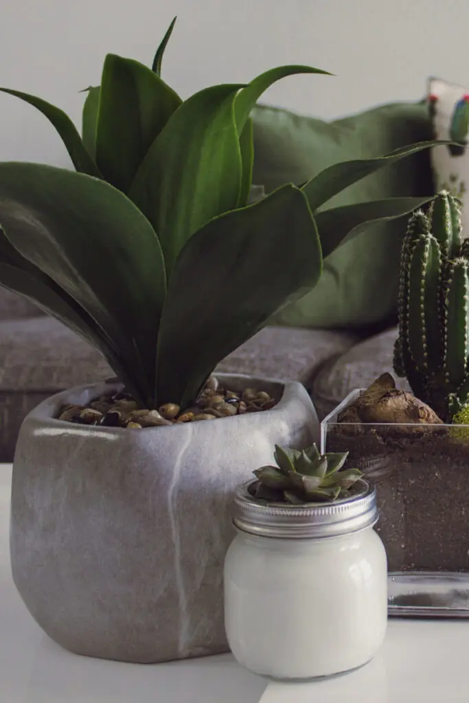 Repurposed Thrift Store Planters