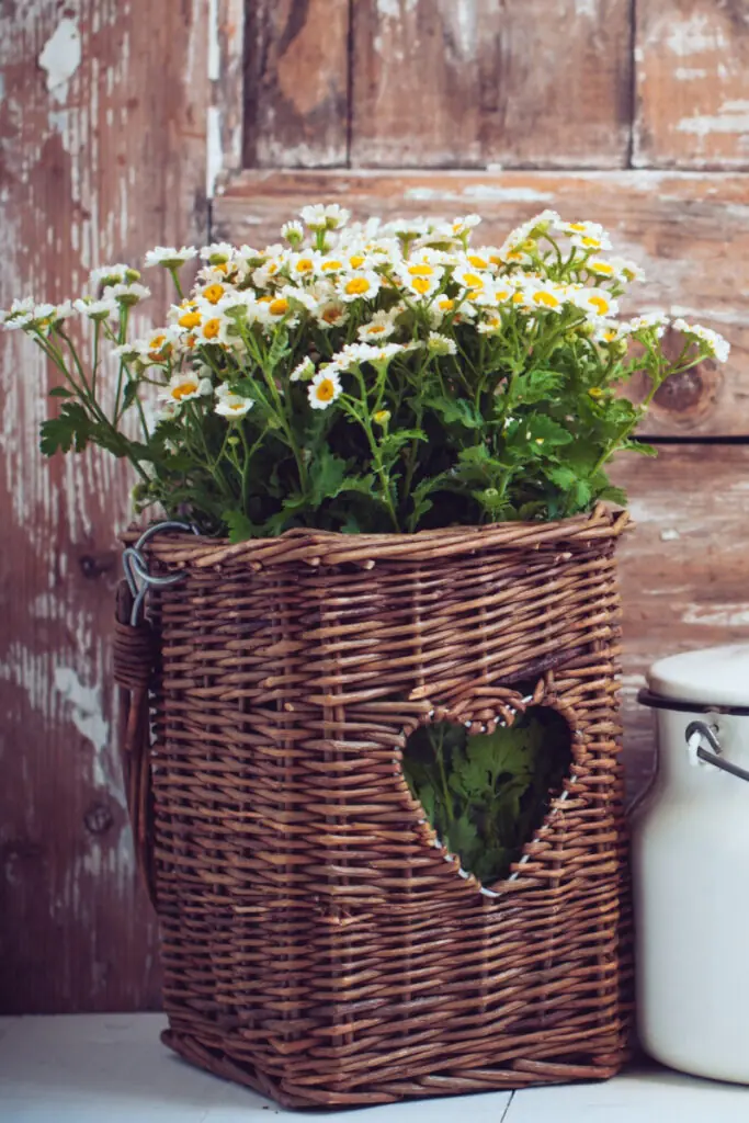Upcycled Picnic Baskets