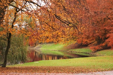 Fall Garden Decor Tips