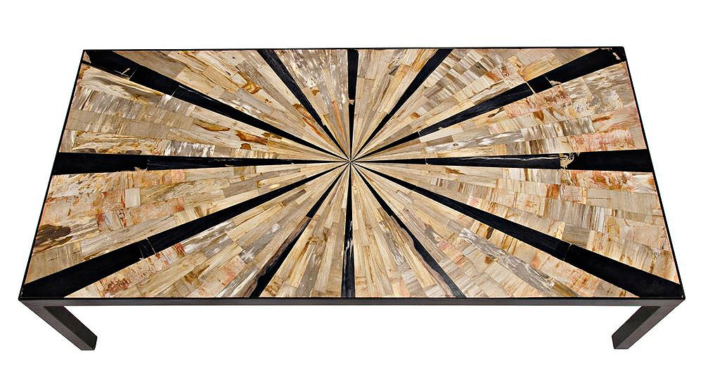 Petrified Wood Furniture: Coffee Table