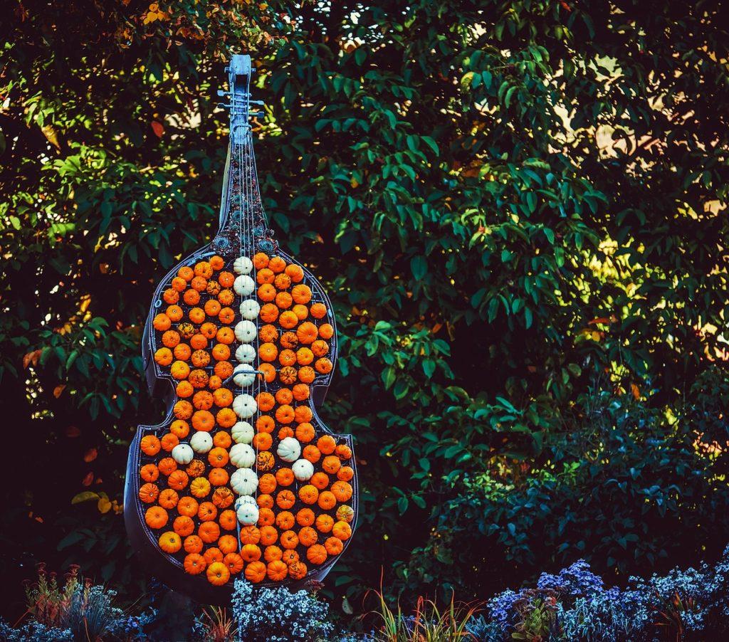 The Bass Violin Made of Pumpkins