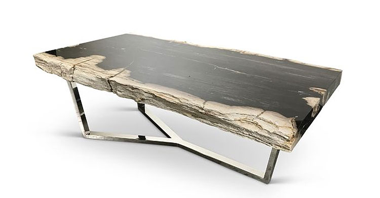 Kailey Masso Natural Edge Petrified Wood Coffee Table