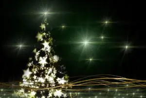 Beautiful Christmas Trees