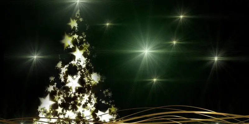 Beautiful Christmas Trees