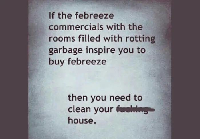 If the Febreeze commercials with the rooms filled with rotting garbage inspire you to buy Febreeze, then you need to clean your (bleeped) house!