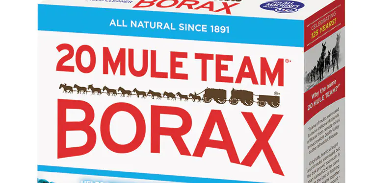 Green Home Cleaning Tips Using Borax