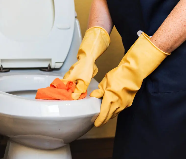 Green Ways to Clean Your Toilet