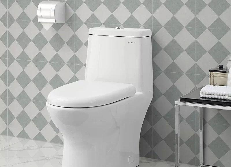 Swiss Madison Dual-Flush Elongated One-Piece Toilet