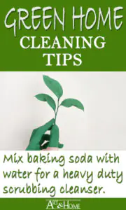Green Home Cleaning Tips