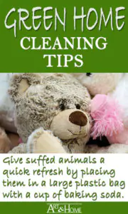 Green Home Cleaning Tips