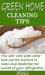 Green Home Cleaning Tips