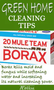 Green Home Cleaning Tips