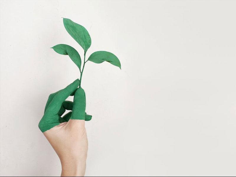 Green Home Cleaning Tips