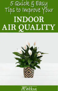 Indoor Air Quality Tips