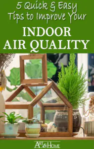 Indoor Air Quality Tips