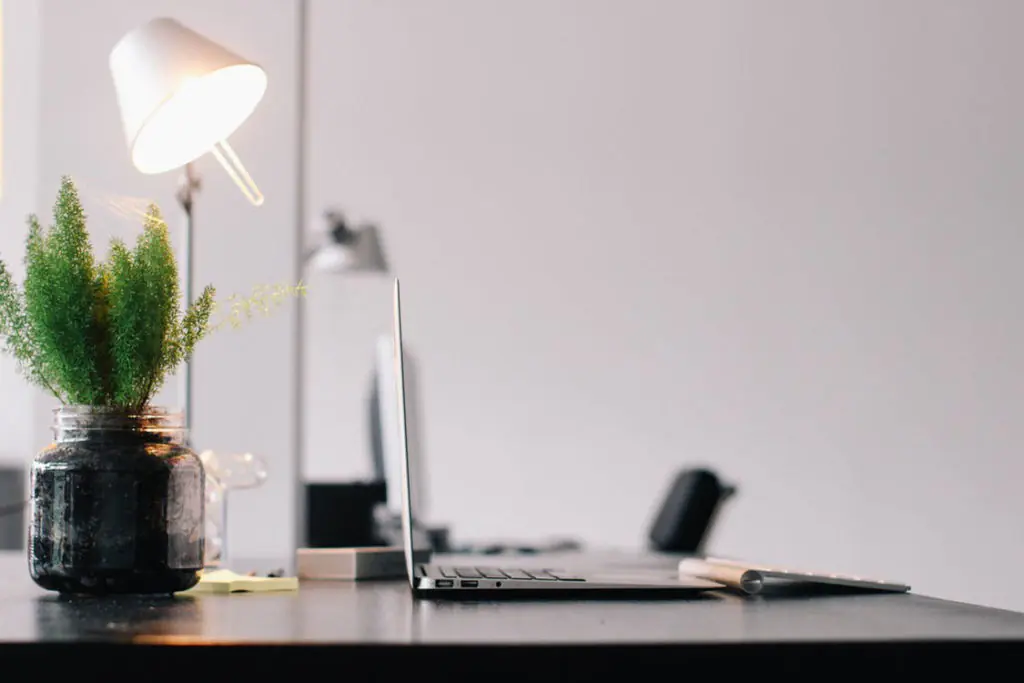 How Plants Help Indoor Air Quality