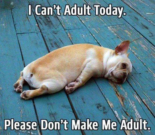Memes About Adulting | I Can't Adult Today, Please Don't Make Me Adult.