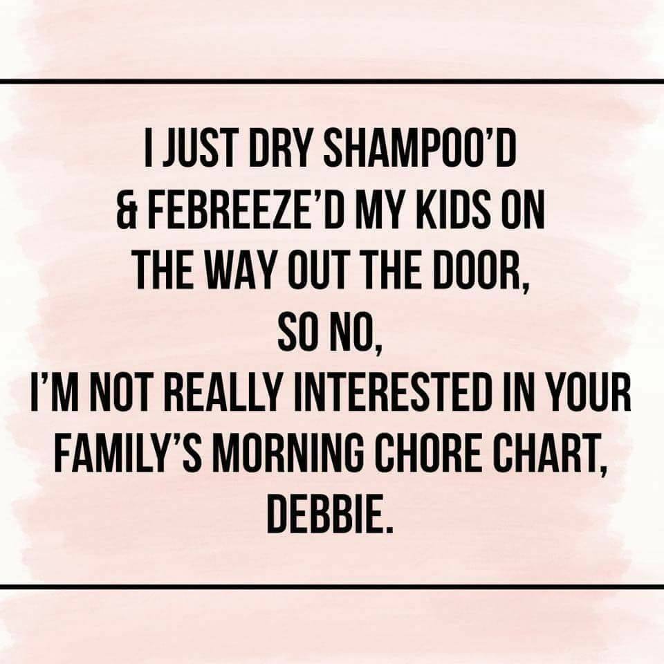 Memes About Mornings | dry shampoo'd & febreeze'd my kids on the way out the door
