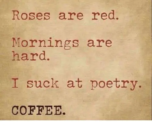 Memes About Mornings | Roses are red. Mornings are hard. I suck at poetry. Coffee.