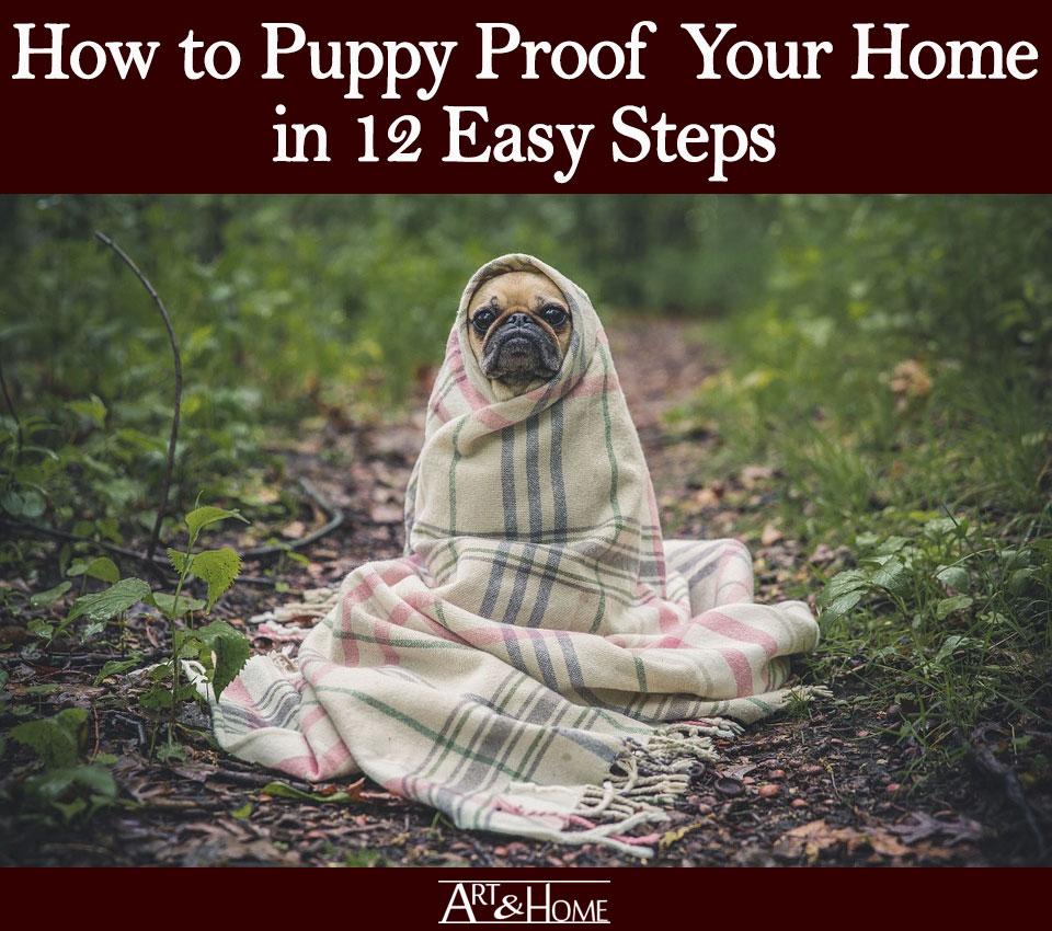 How to Puppy Proof Your Home | Protect Your Furniture