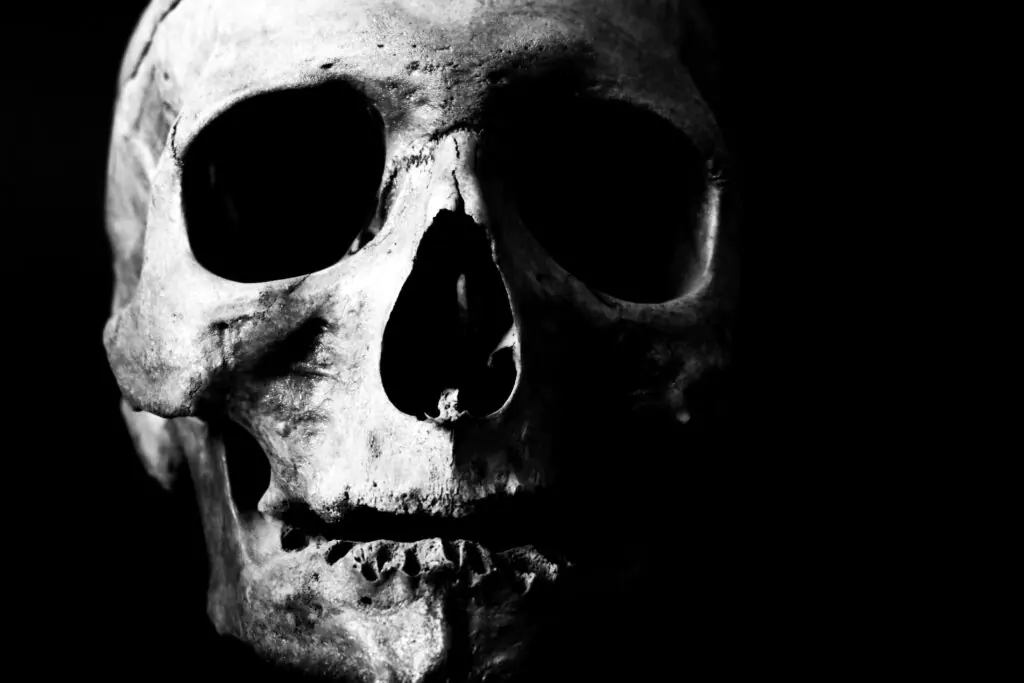 Black and White Skull Halloween Printable Art
