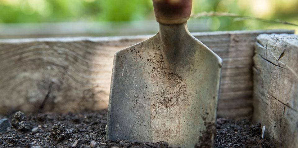 Coffee Grounds for Cleaning Garden Tools
