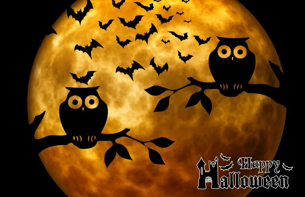 Happy Halloween Owls Printable