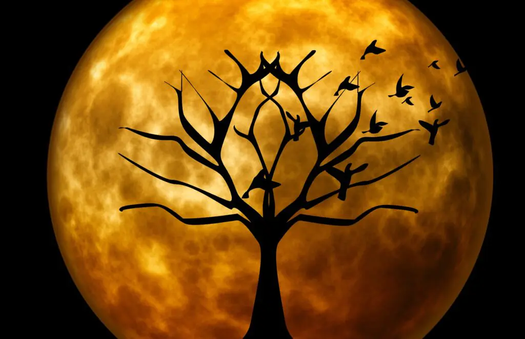 Moon Tree | Halloween Pictures You Can Print