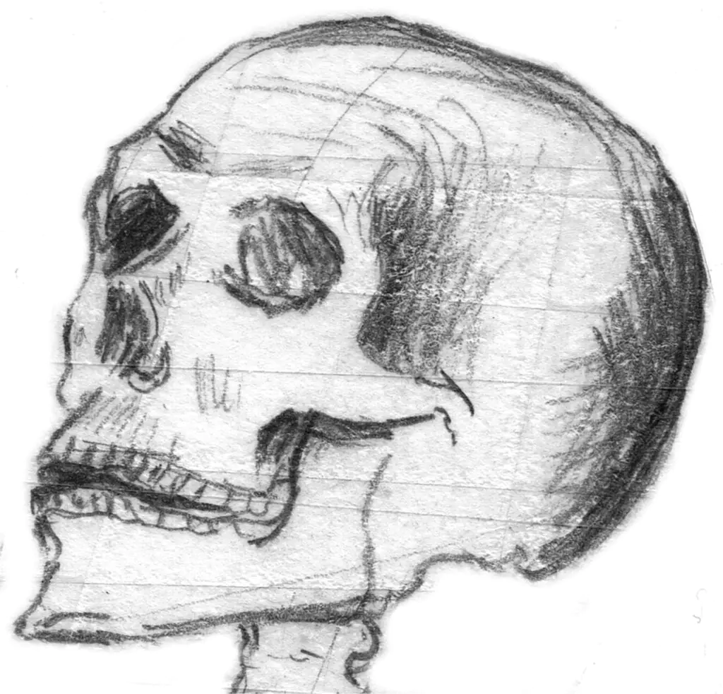 Sketched Skull Halloween Printable Clip Art