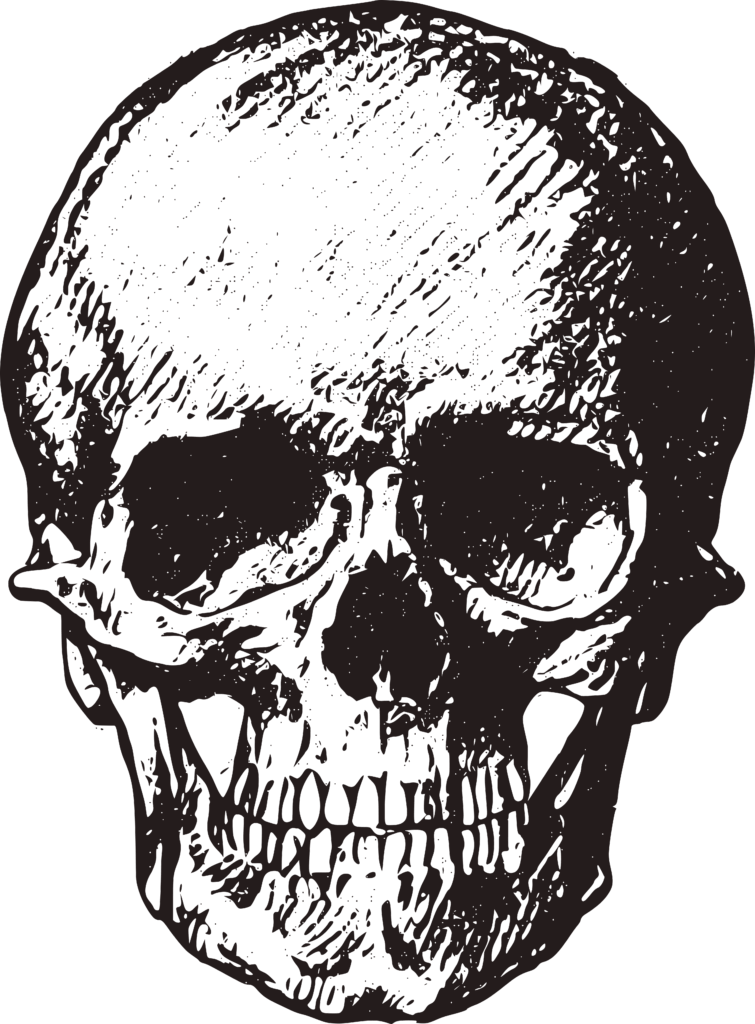 Skull Drawing Free Halloween Printable Clip Art
