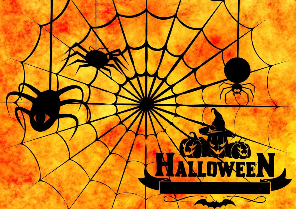 Spider Web Halloween Printable Sign